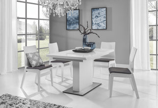 Glass Top Dining Table with Extension RITA